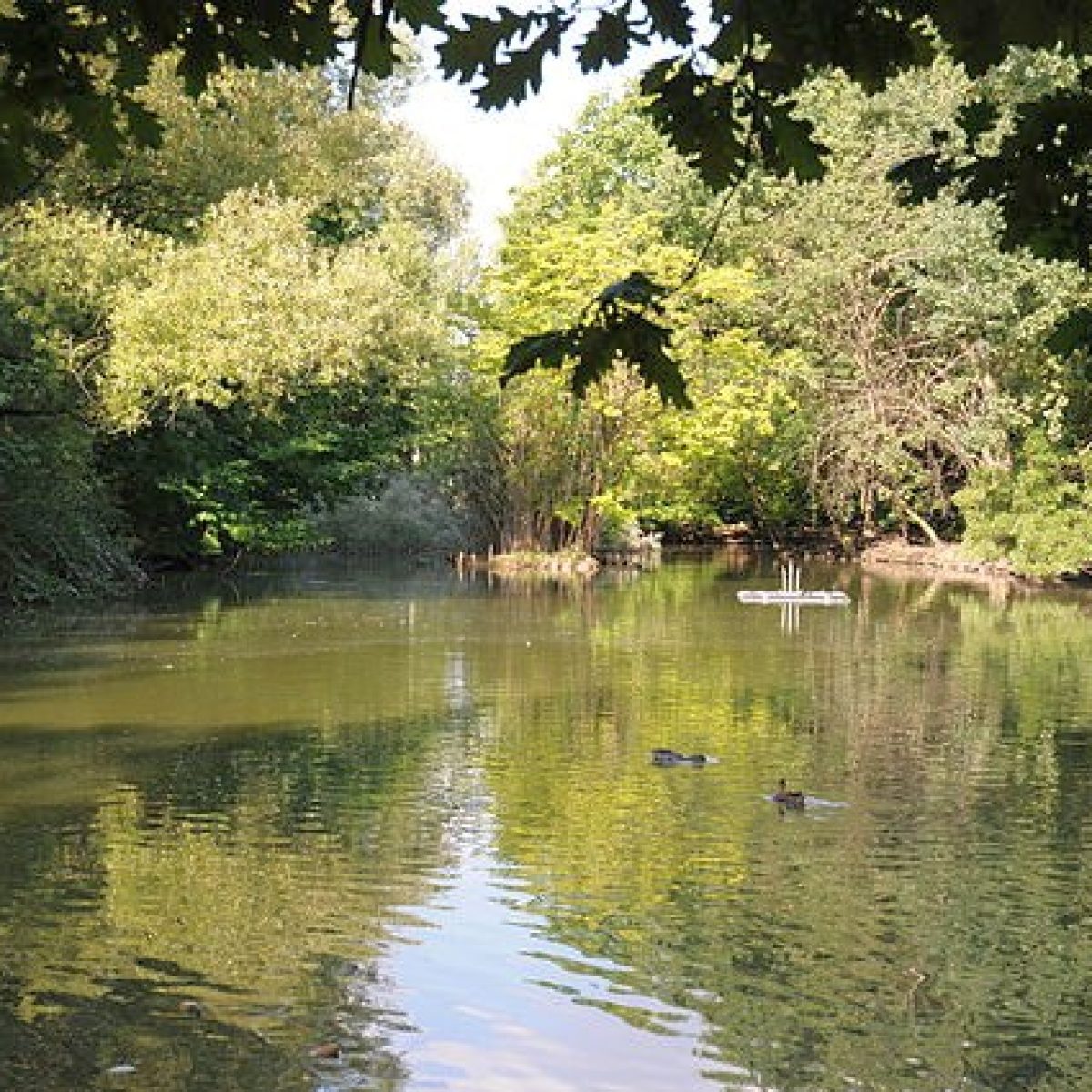 il Parco Castello